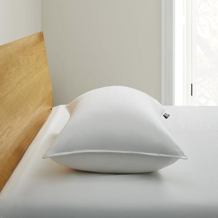 SERTA Back-Sleeper White Goose Feather & Down Fiber Pillow, king, Single SE229302